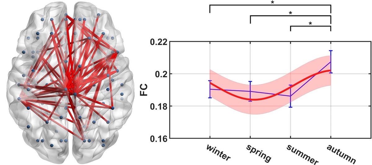 NTFabiano's tweet photo. Brain connectivity is highest in the fall and lowest in the summer https://t.co/DDEcdThC7Q