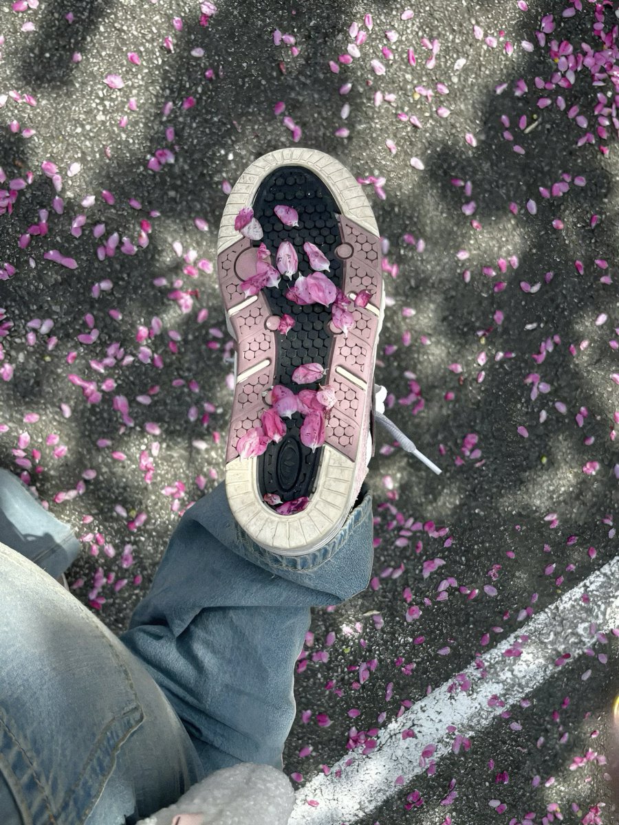 gardenofcolours's tweet photo. https://t.co/hw9RyHbPGd