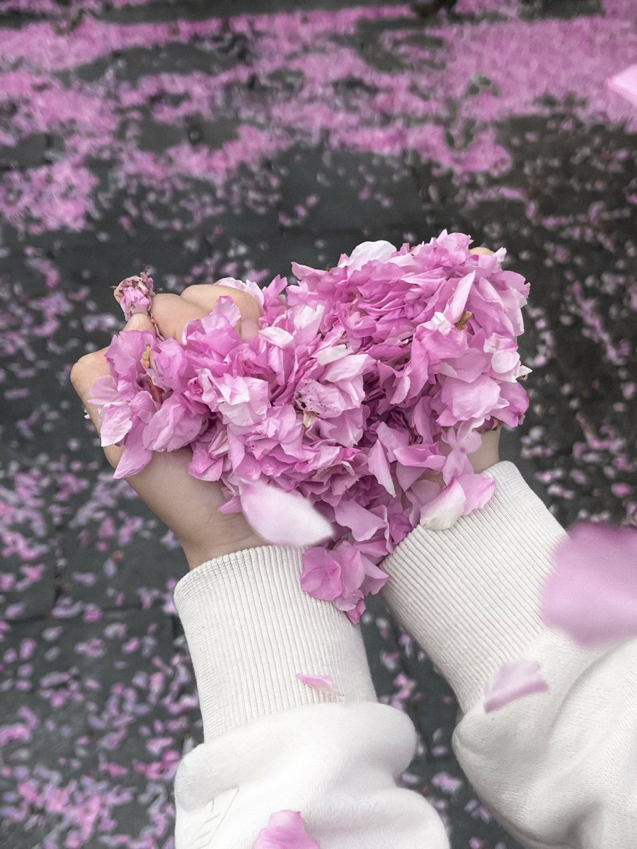 gardenofcolours's tweet photo. https://t.co/hw9RyHbPGd