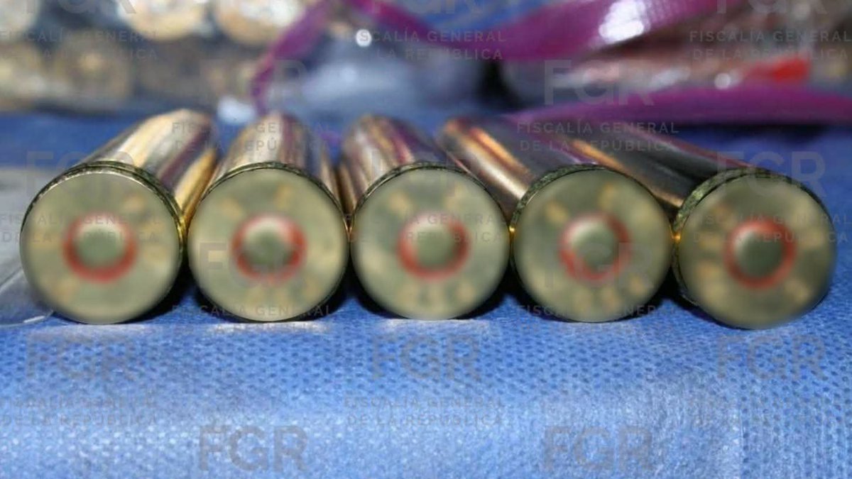 AlertaGDL's tweet photo. FGR Aseguró arsenal oculto junto a un caballo

​Aseguraron casi 188 mil cartuchos y 11 armas de fuego en un remolque que salió de Chihuahua con destino a Jalisco.

​El cargamento iba escondido tras una puerta secreta cubierta de paja, al lado de un caballo. https://t.co/aXxSII2cLq