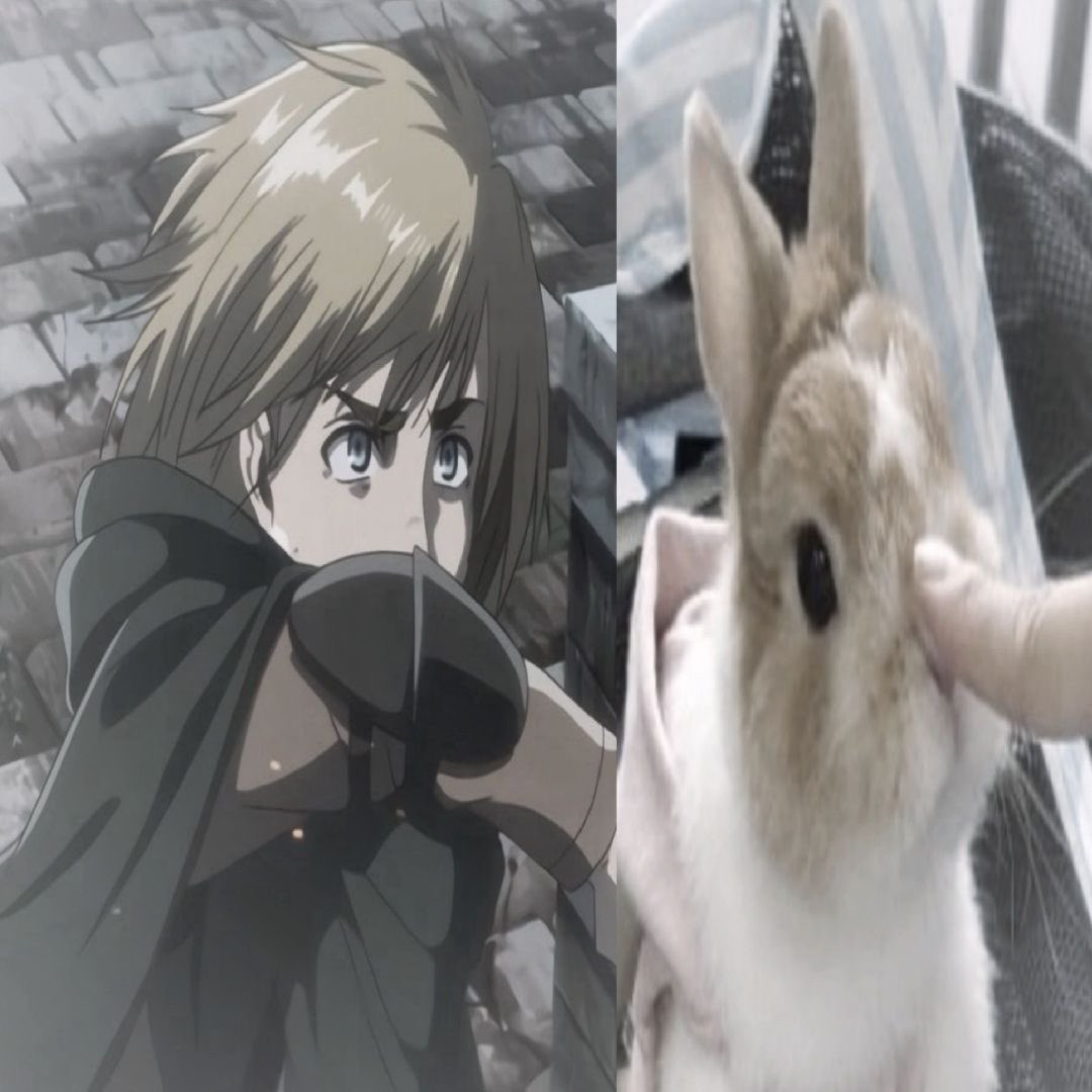 acervoarlertt's tweet photo. Today is International Armin Arlert Day. https://t.co/IGD7H8uCoC