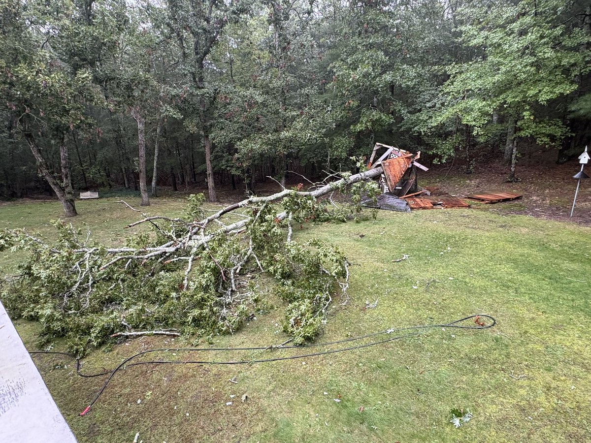 swami7774's tweet photo. @JohnBolaris This was a tree and treehouse. https://t.co/bK2kZKYLYe