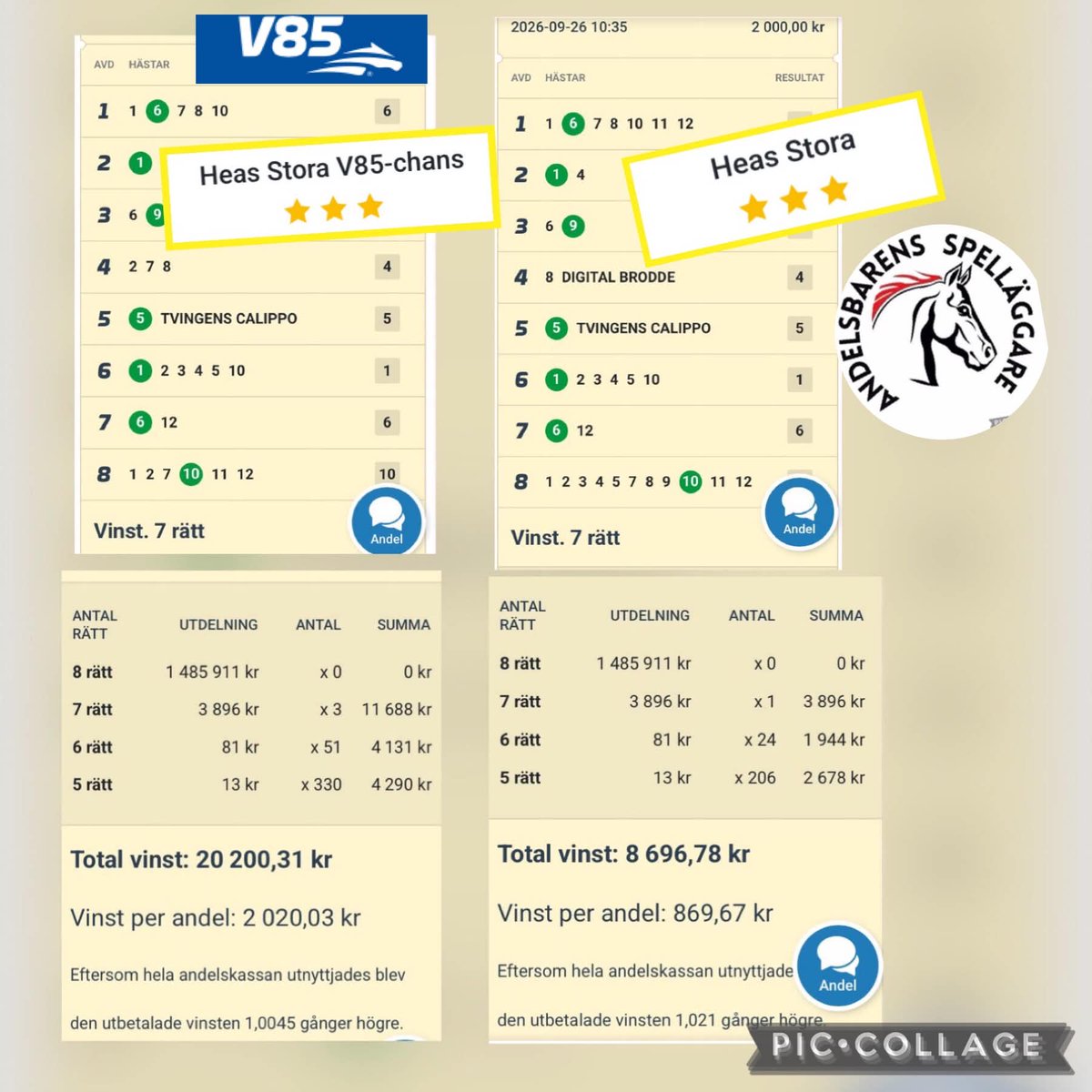 berg_hea's tweet photo. 7 rĂ€tt pĂ„ V85 Ă
by 26/9 gav drygt x4 resp x8 gÄnger insatsen för bolagen Heas Stora och Heas Stora V85-Chans
#atg #trav #andelsspel #heasandelar #Àlskatrav #andelsbaren #atgvinnare #spelav64 #dagenstrav #spelhörnanisurahammar #travidag #butiksandelar #atgbutik https://t.co/TWl6nWL4yZ
