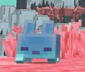 pinkfluffyseal's tweet photo. HE JUST A LIL GUY https://t.co/2V7KSeWRhQ