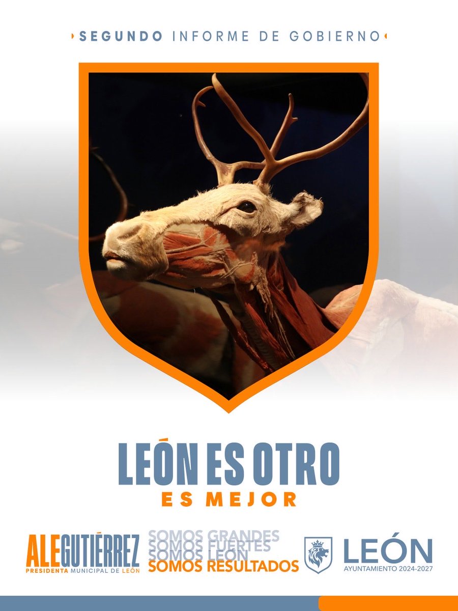 ExploraLeon's tweet photo. León es otro, León es mejor.
🌎 44,821 visitantes conocieron la ciencia, la anatomía y la biodiversidad a través de Body Worlds – Animal Inside Out, una experiencia internacional de divulgación científica en Explora.
#SomosResultados #SomosTrabajo #2InformeAL https://t.co/G6P7fwrjE2