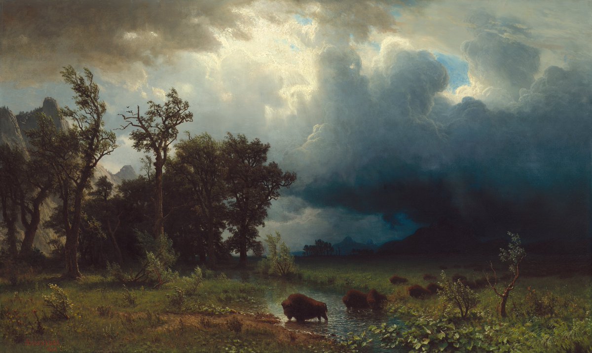 HistoriaJack's tweet photo. On Saturdays we post Bierstadt 

- Buffalo Trail: The Impending Storm, 1869 https://t.co/DnbWl9tGnT