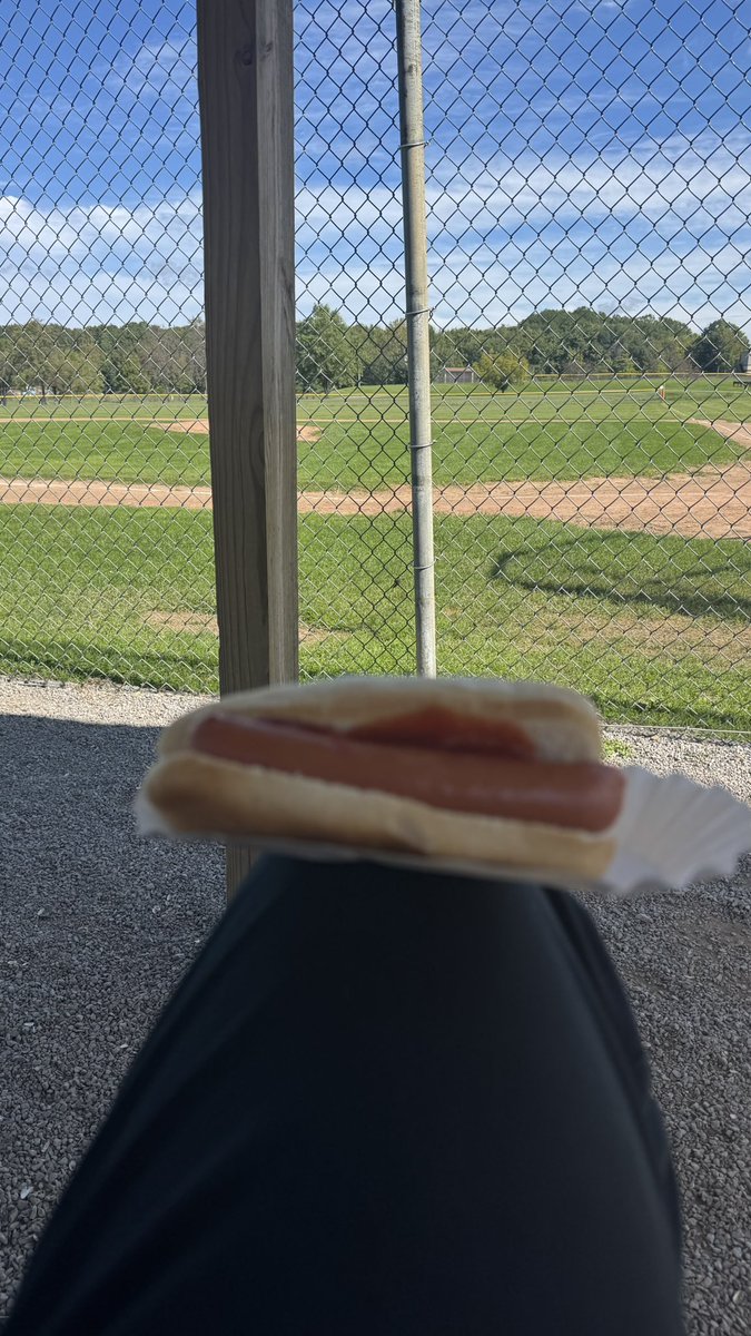 scarpi22i's tweet photo. Dugout hot dog. Half-mile walk. Money spent for a good cause. Life is good https://t.co/roHXZXSwcU