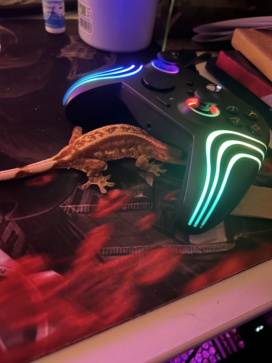 DoctorFunkBeatx's tweet photo. destruction mode nigdy wiecej nie dam jej mango https://t.co/KmBHwSjZQ3