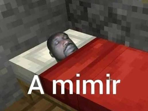 SSalasevic8258's tweet photo. @CartoonsOTMoon Después de esto, los de Mojang se van a ir a dormir un largo rato https://t.co/ngLbCIwhg6