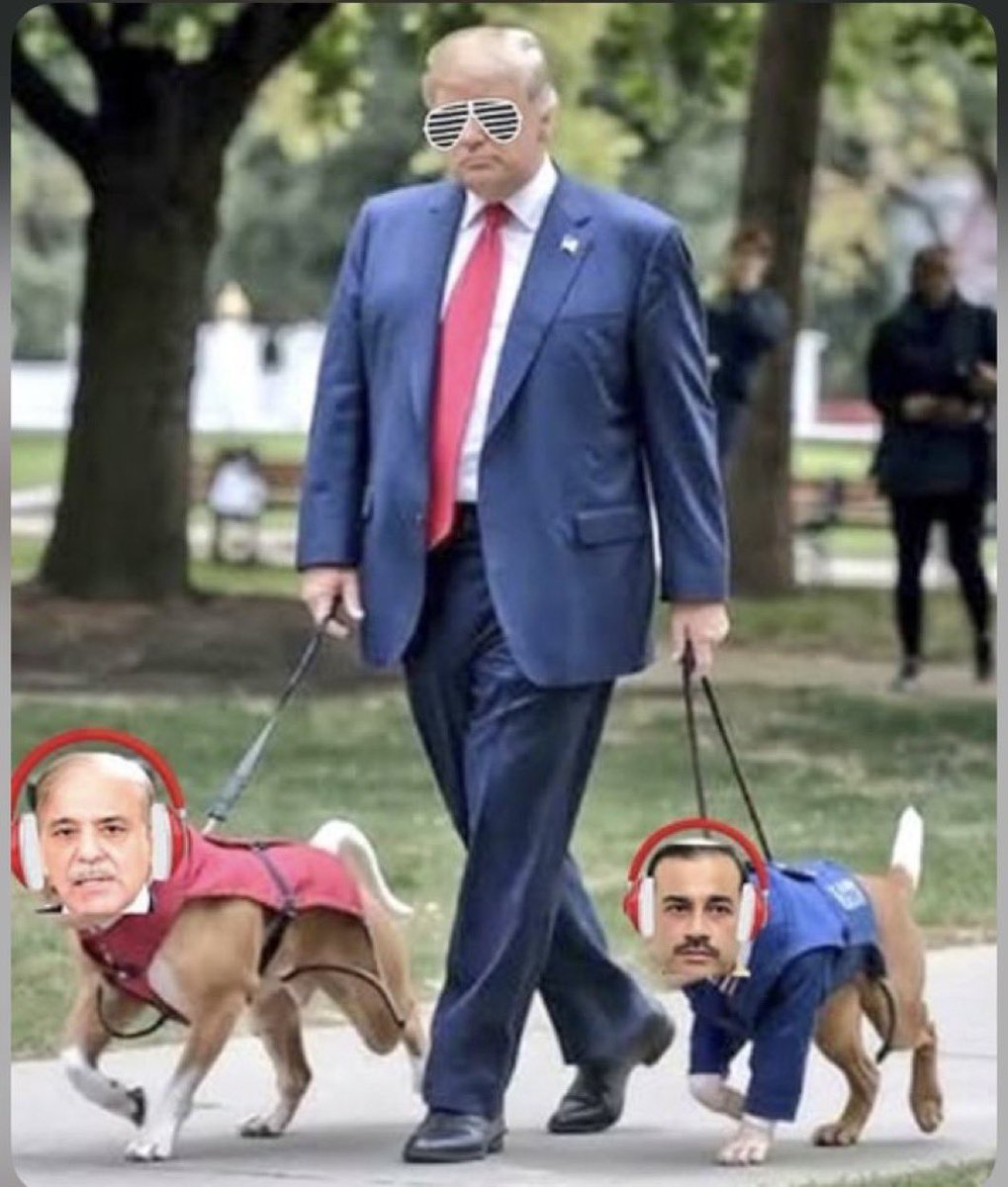 RodiumInsights's tweet photo. ٹرمپ نے اپنے سوشل میڈیا اکاؤنٹ پر favorite pets کی تصویر کیا شیئر کی، صحافیوں نے اسے بھی عالمی خبر سمجھ کر تجزیے شروع کر دیے۔ 😝

Haters will say this is fake news.😭 https://t.co/4XKa9OTd9k