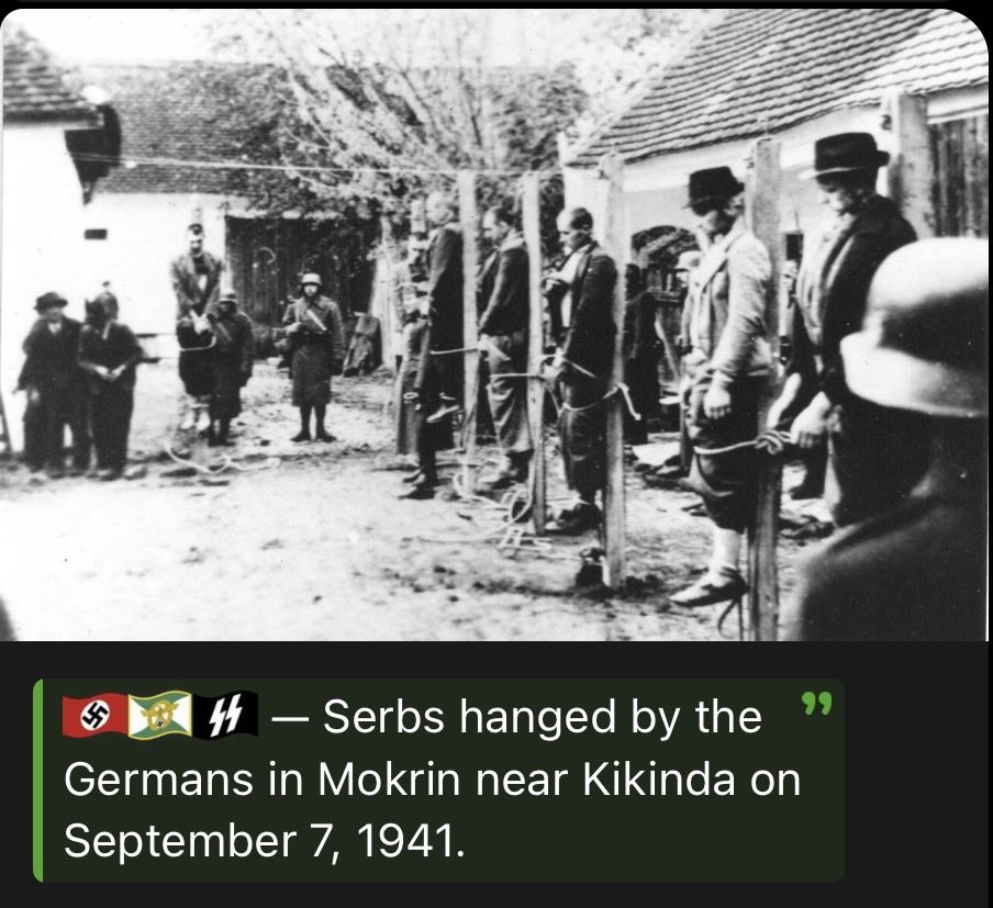 nderaur's tweet photo. @nomad_178 @nikthealbanian Quoting a failed SS commander, a book (made positively) about Albanians, and a random.. here’s the truth though 👇 https://t.co/YHqCeXG7ZN