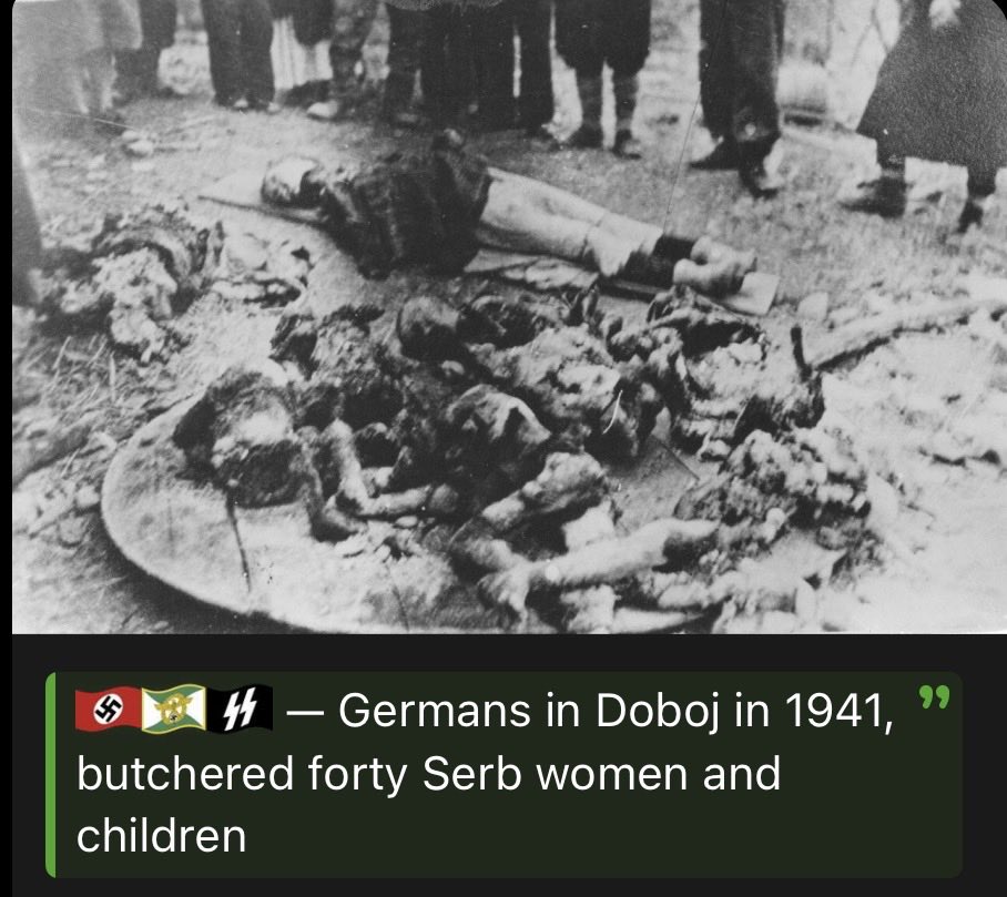 nderaur's tweet photo. @nomad_178 @nikthealbanian Quoting a failed SS commander, a book (made positively) about Albanians, and a random.. here’s the truth though 👇 https://t.co/YHqCeXG7ZN