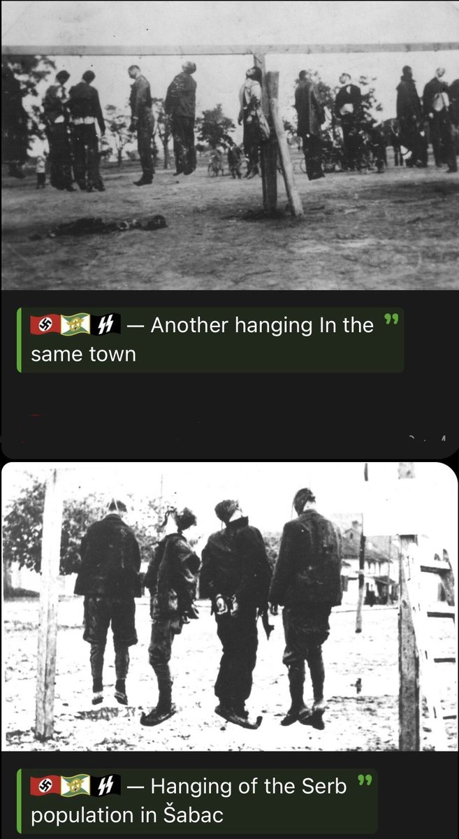 nderaur's tweet photo. @nomad_178 @nikthealbanian Quoting a failed SS commander, a book (made positively) about Albanians, and a random.. here’s the truth though 👇 https://t.co/YHqCeXG7ZN