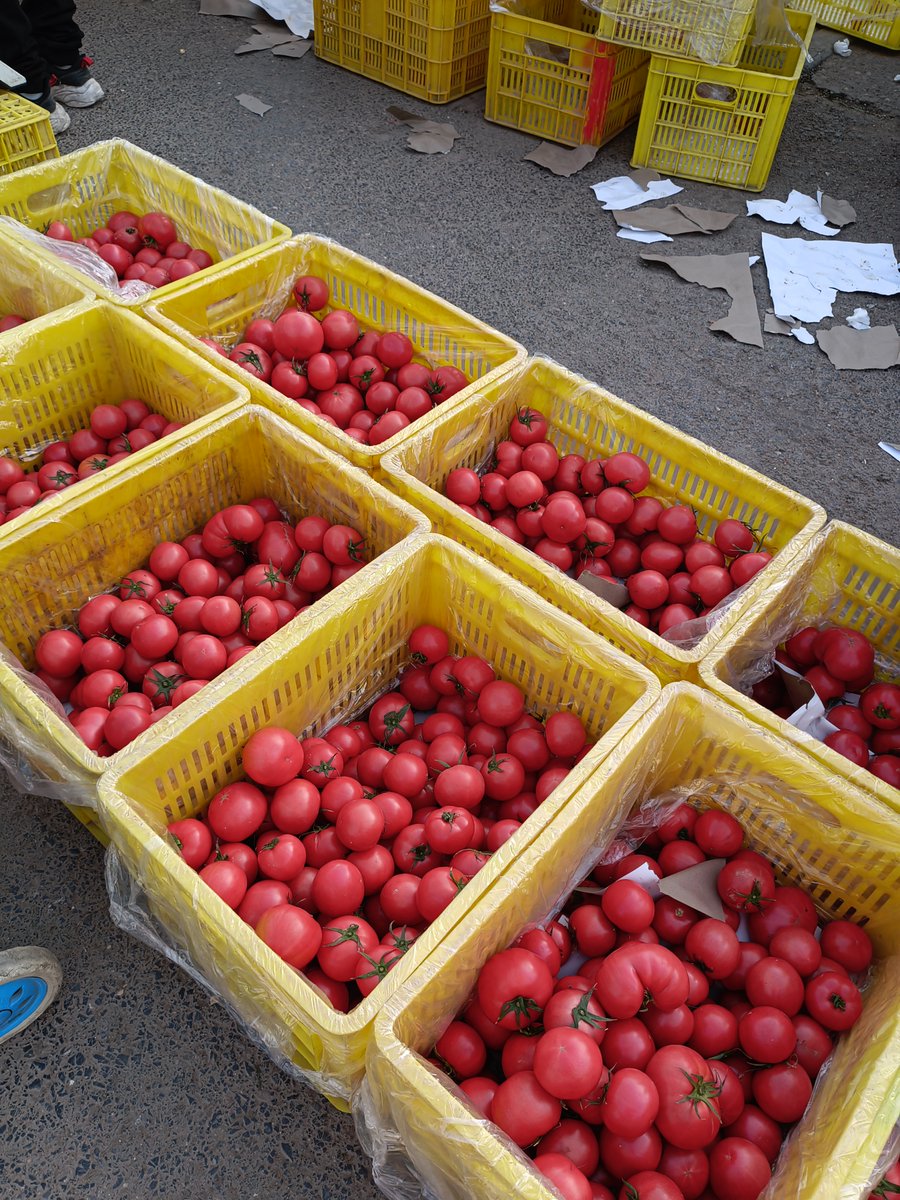 Pamalay2jb's tweet photo. Qué fresco! Tomates, cebollas y hierbas aromáticas 100% locales hoy en el puesto de verduras  Ideal para tus platos caseros. https://t.co/qe7RqCqYIu