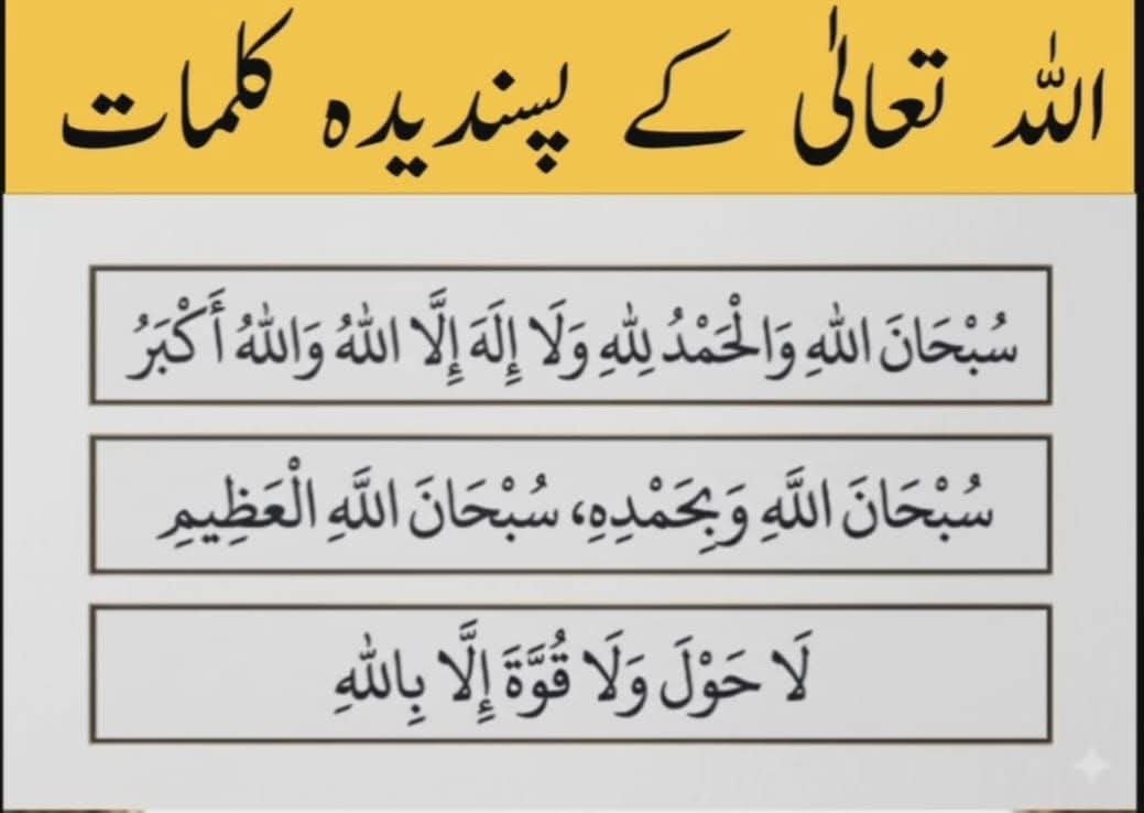 Saba5670's tweet photo. السلام علیکم ورحمتہ اللہ وبرکاتہ https://t.co/Pv6T9TAGlc