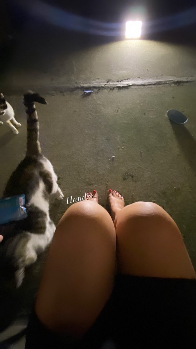Busewroe's tweet photo. Ben kuzularımı doyuruyorum🥰 siz napıyorsunuz bakim😈

En güzel erotik paylaşımlarım ücretli kanalımda hala katılmadınmı😈🙈

https://t.co/4Qp63tKbuW https://t.co/L2mQa9VXVR