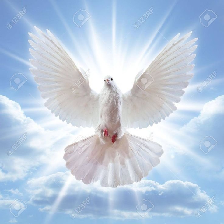 KaRue71's tweet photo. Wir wollen keinen 3. Weltkrieg!
WIR WOLLEN DEN 1. WELTFRIEDEN❣️ 🌎 https://t.co/iAG7a6N7sN