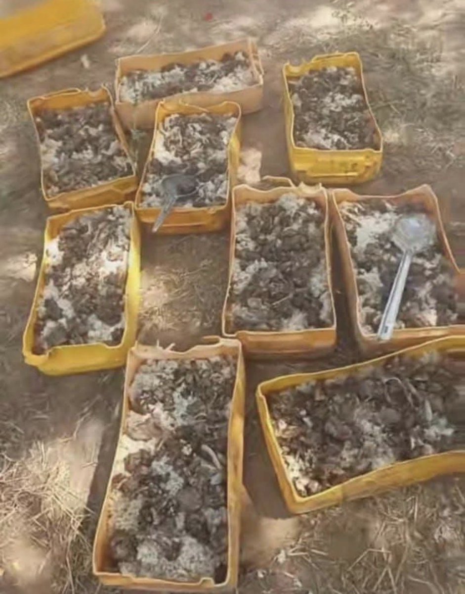 NegusIntel's tweet photo. #AES |
Au Burkina Faso 🇧🇫 dans le Soum, un groupe de terroristes a été pris par surprise par les FDS, ils se préparaient pour un festin.

Ce qui me frappe, c’est leur mode de vie, souvent dans des conditions difficiles. Ici ils utilisent des bidons de 20l coupé comme plat. https://t.co/MwvZ3G1RCv