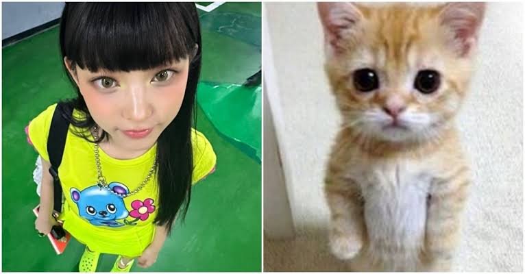 Ramy425174's tweet photo. Encuentra las diferencias.. 💚🤭😺 https://t.co/G9c0pKo9ZR