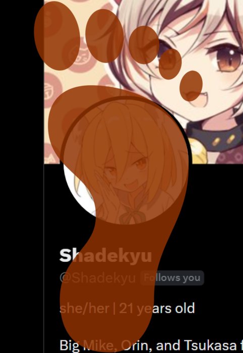 OrinAbuser's tweet photo. Publicly squishing one more Orin fan like this! @Shadekyu get stomped FLAT 👣 https://t.co/HEZF2R7FwA