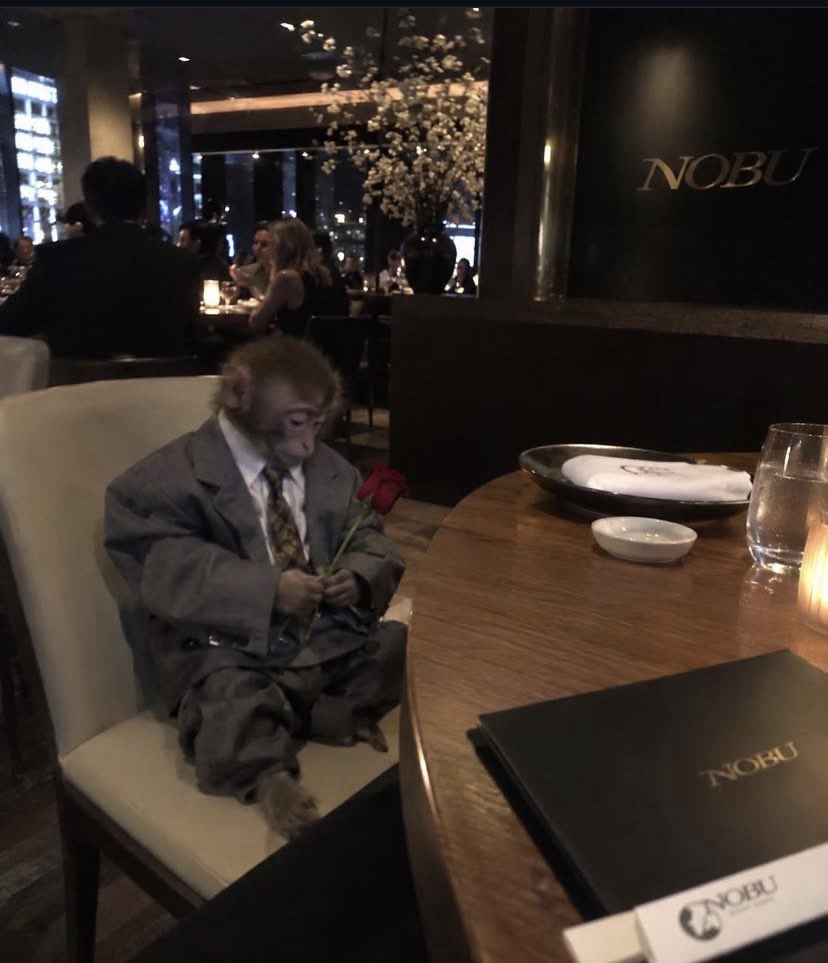 Cenchmiles's tweet photo. Another failed dinner date🥀💔 https://t.co/G6MhBSZ5SK