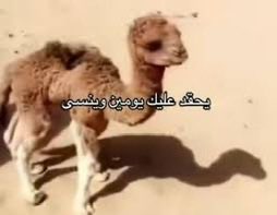 _LURD's tweet photo. @ivur25 https://t.co/3xirpqRm0X
