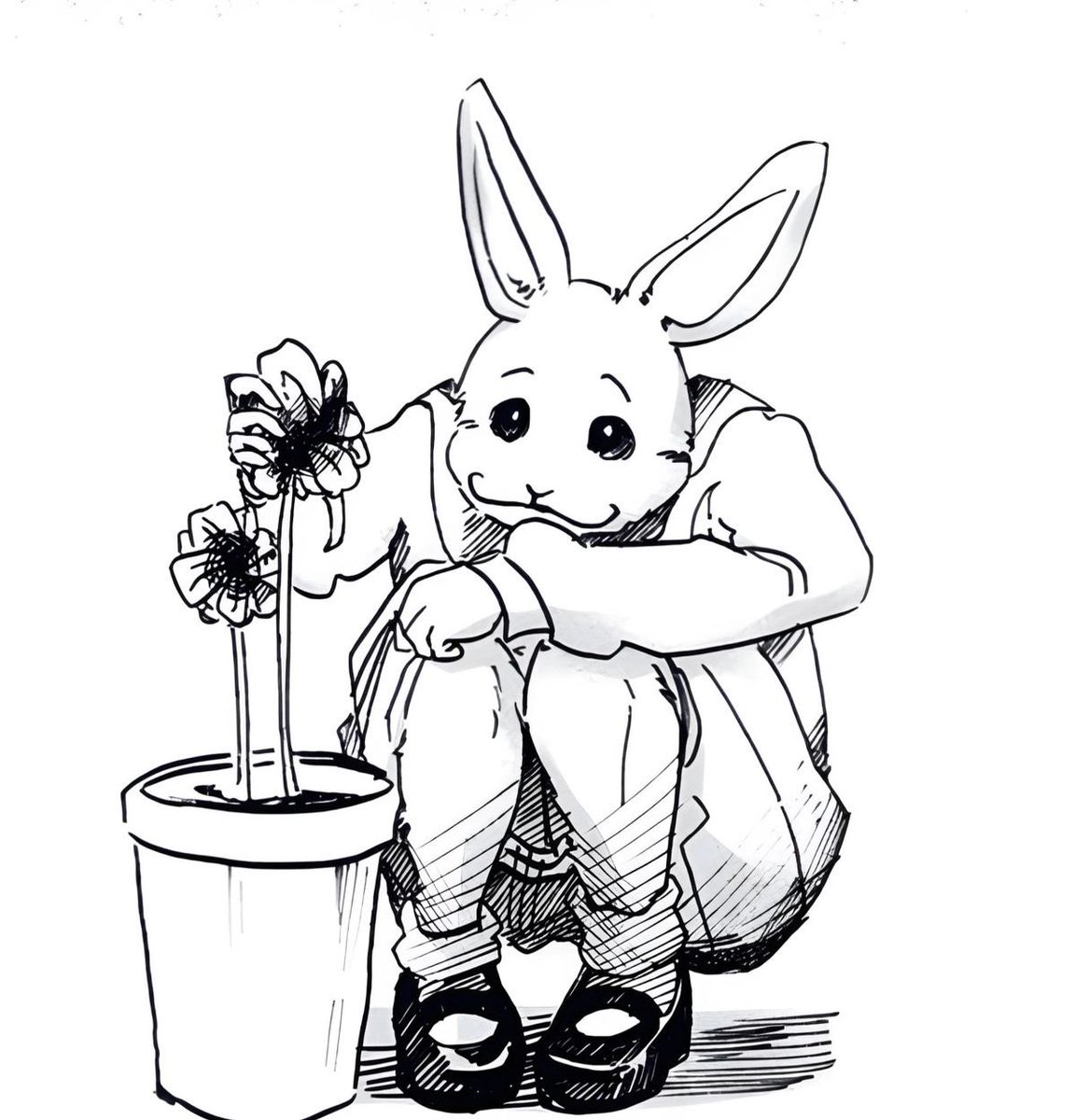 Iegoharu's tweet photo. it’s rabbit day i love you haru beastars forever https://t.co/SsQLXDwZhG