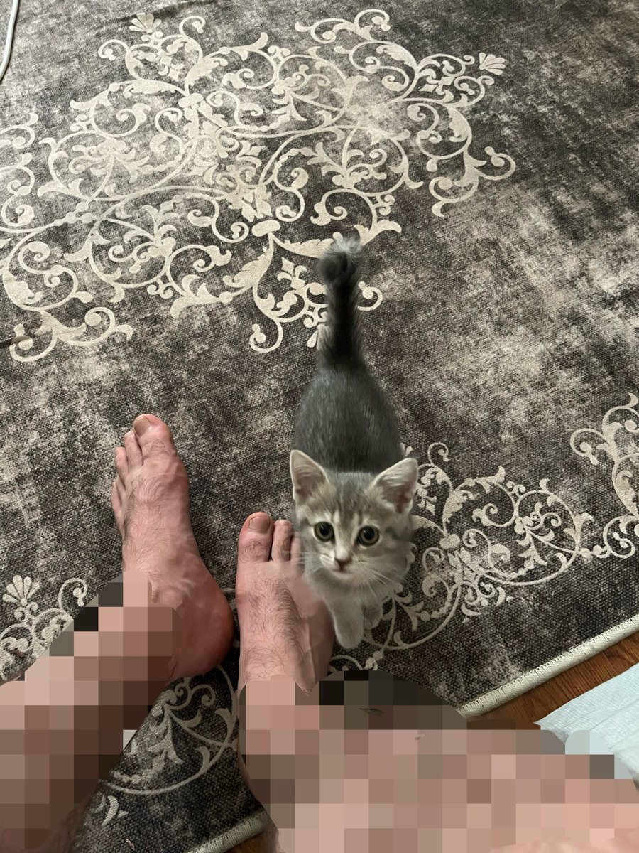 SoldierCanbey's tweet photo. Peşimi bırakmıyor ne yapmalıyım https://t.co/2yZI9X5WbX