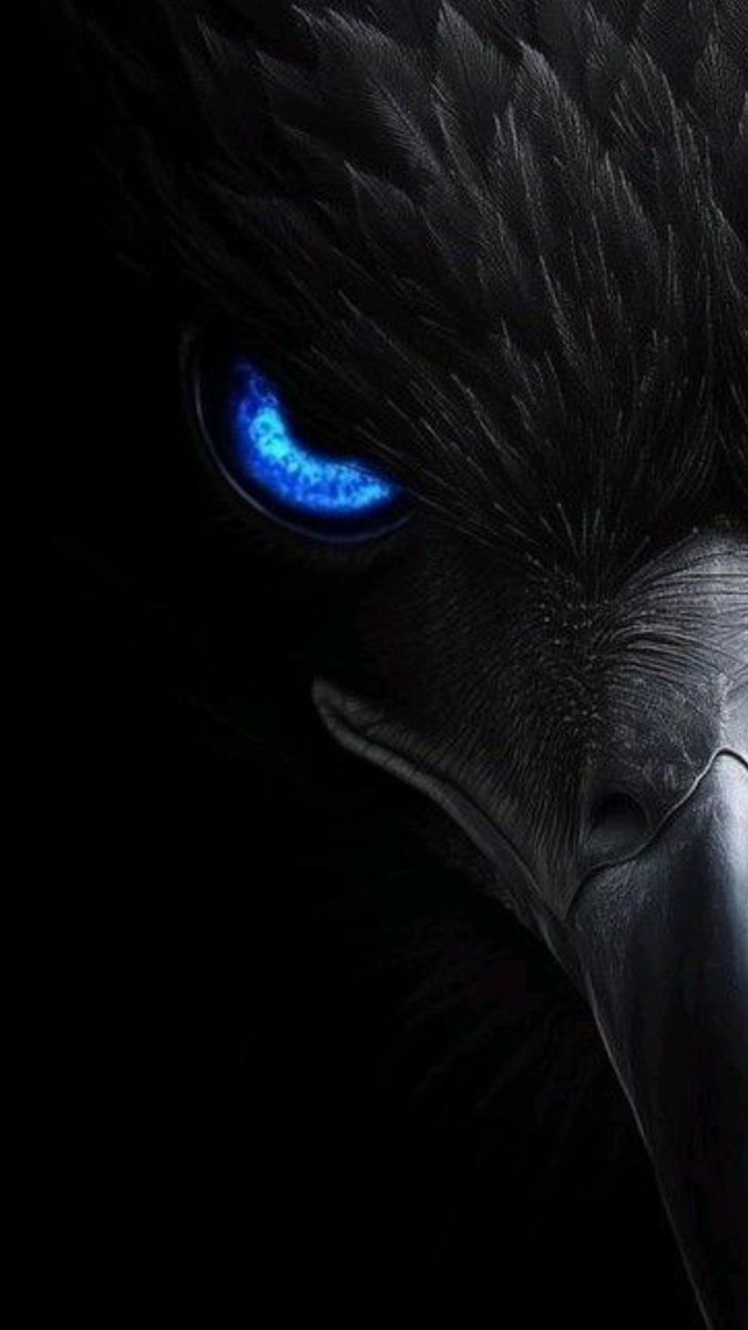 ScocialStranger's tweet photo. Pick a side https://t.co/rZcS88Qy0x