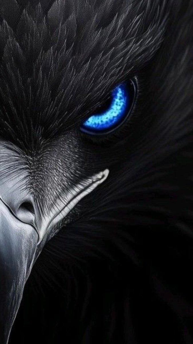 ScocialStranger's tweet photo. Pick a side https://t.co/rZcS88Qy0x