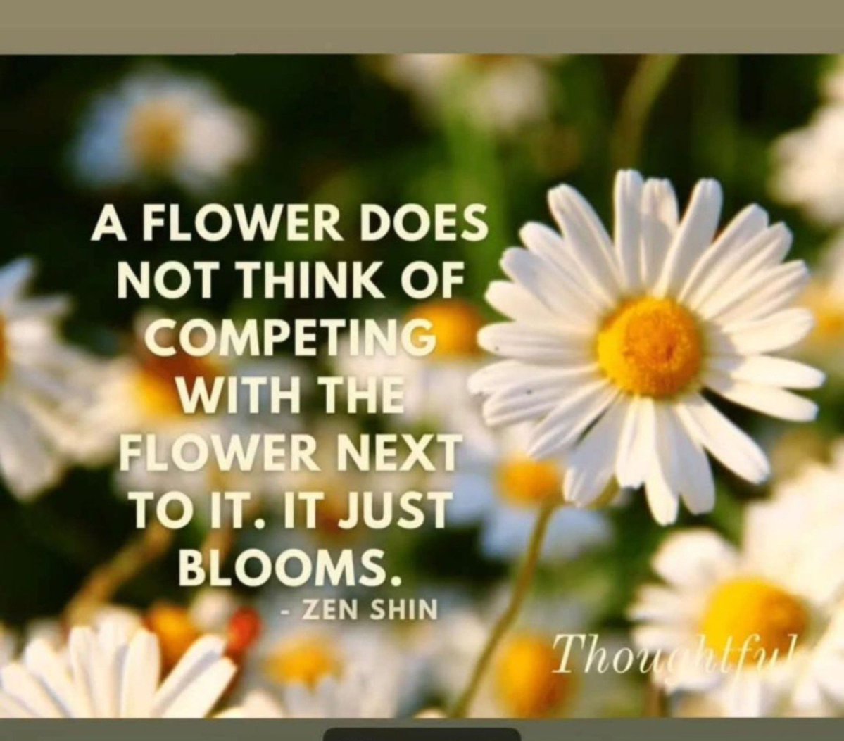 kunalrv's tweet photo. Very thoughtful https://t.co/9kDbGn4DW6