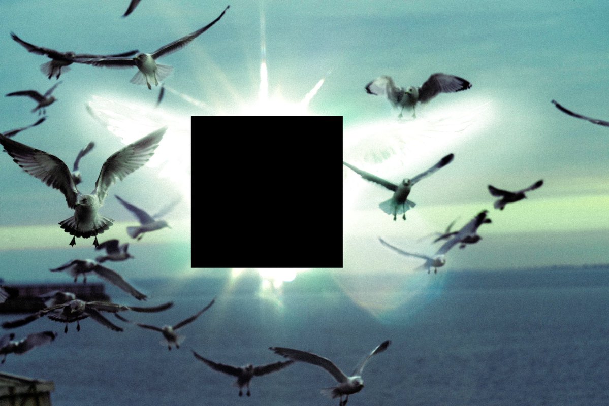 Lucayou7's tweet photo. Black bars are such a blunt type of horror. Blurring obscures details but still gives you the idea of something. In documents, putting [REDACTED] still gives you letters to glaze over. A black bar feels like your brain is protecting you from something you weren’t meant to see. https://t.co/13T8N1UdST