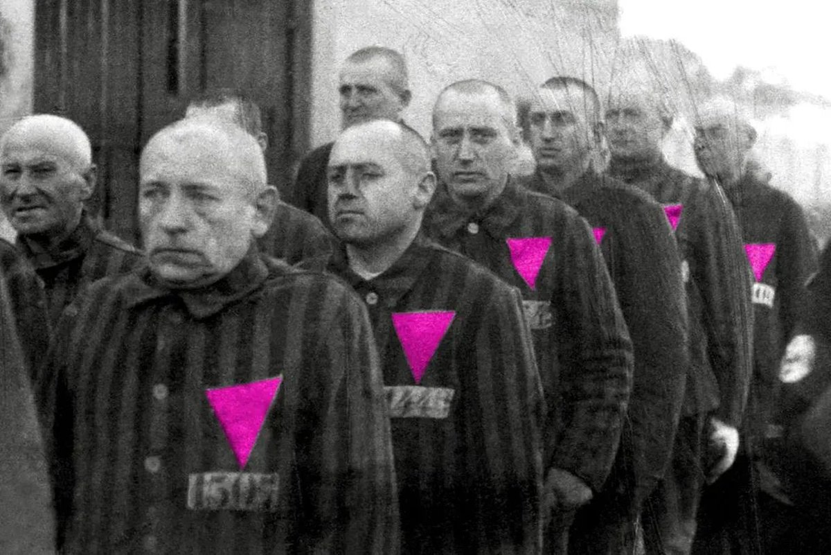 n1ckelpercent's tweet photo. how it feels to be woke and gay in the ongezellig fandom https://t.co/r4OZ4fzVV2