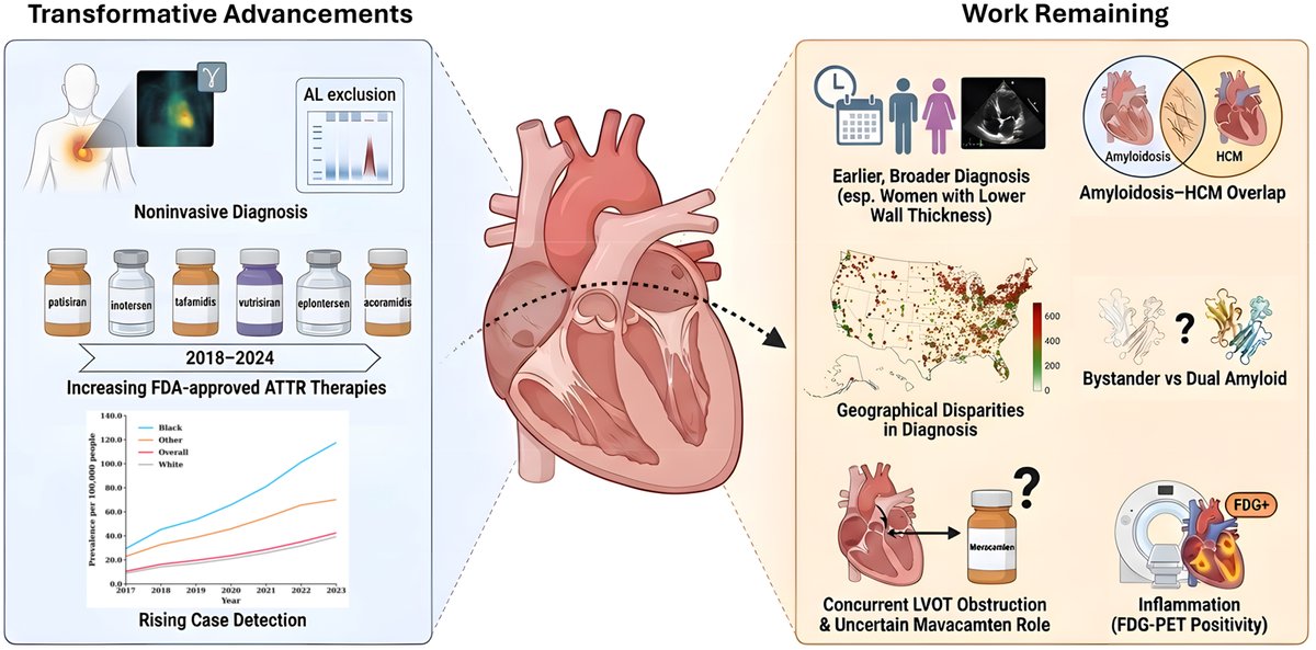 joshmitchellmd's tweet photo. Honored to be guest Editor-in-Chief of the #JACCCaseReports @JACCJournals  special issue on #amyloidosis. Great collection of unique cases we can all learn from.  See my editor's corner on important lessons and where we go from here: https://t.co/zHDo15CBkF

Full journal issue here by section: https://t.co/nifEVbFiFL

Only made possible with tremendous help from the JACC:CR team led by @GilbertTangMD and @MinnowWalsh  and the amazing guest associate editors: Jose Alvarez-Cardona, @Richardkcheng2 , @MargotDavisMD @rodney_falk @MGKhouri_md @nishantshahmd @SinghVasvi  @LilySternMD. 

@WashUCardiology