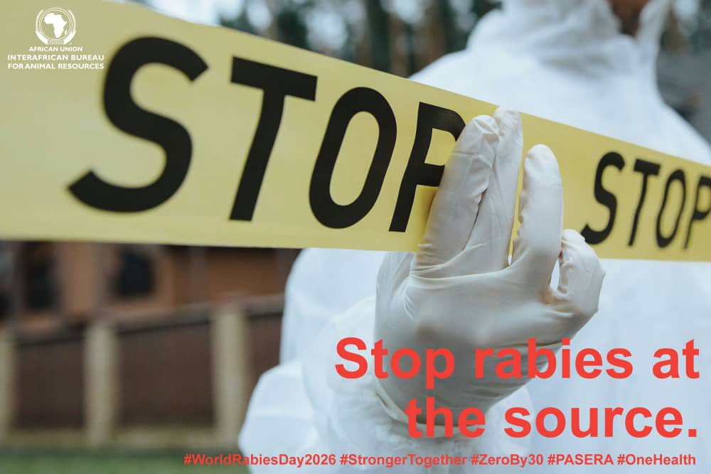 au_ibar's tweet photo. Vaccinate the dog & protect the family.
Up to 99% of human rabies cases come from dog bites.
Vaccinate at least 70% of dogs and the cycle breaks. Aston rabies at the source.
#WorldRabiesDay2026 #StrongerTogether #PASERA https://t.co/LclydIt53c