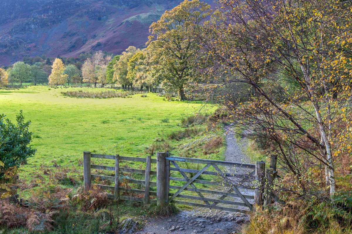 andrewswalks's tweet photo. Tempting lakeland gates https://t.co/0Rzv3551Ly