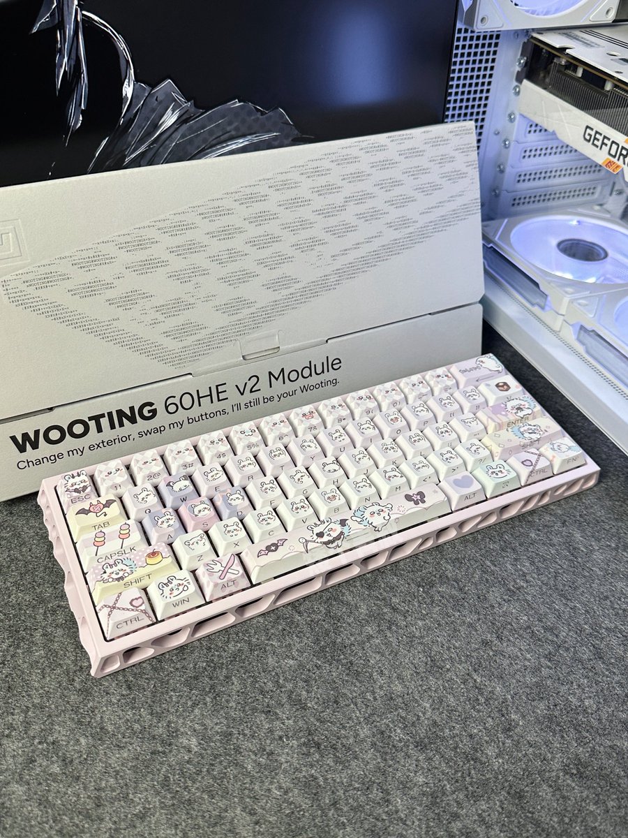 NvsionGear's tweet photo. 🐭🐭 https://t.co/4xWdMYoir2