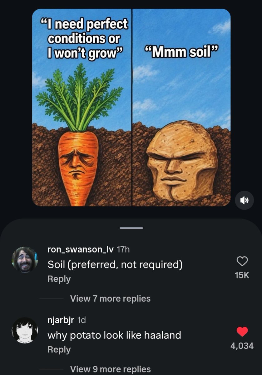 erlingverse's tweet photo. Potatolaand https://t.co/Ey4GBSoI2A