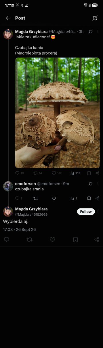emoforsen's tweet photo. najśmieszniejsza moja interakcja na tym portalu xddd https://t.co/Cet5mcZhyn