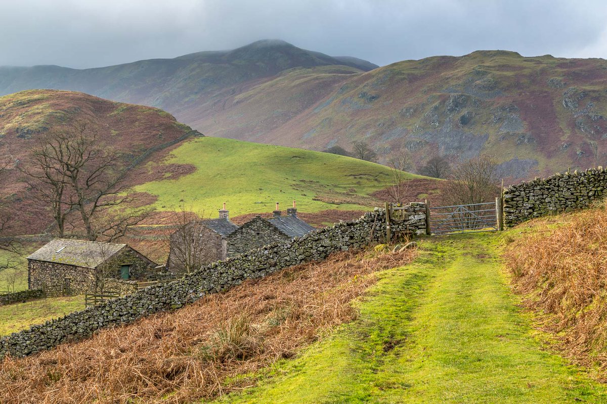 andrewswalks's tweet photo. Tempting lakeland gates https://t.co/0Rzv3551Ly