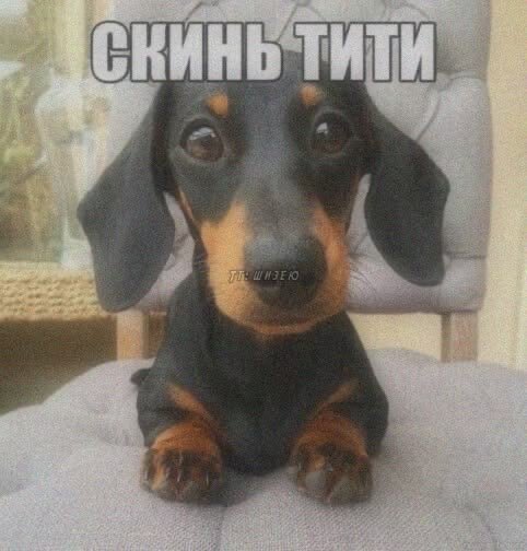Li_SS4's tweet photo. @niniqxs https://t.co/l27eU7Vpho