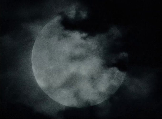 Baswa_'s tweet photo. Le film de Loup garou que Robert Eggers va nous pondre ça va être du jamais vu. 

Perso je suis extrêmement hype. https://t.co/taPVUn6PGI