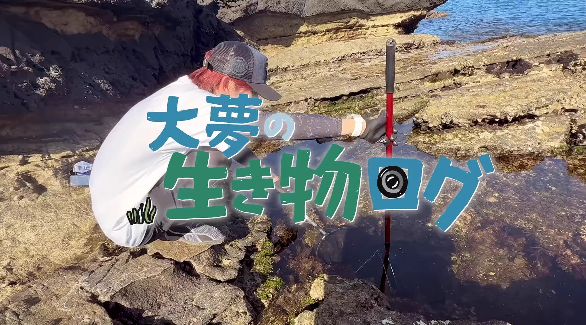 水槽 amune su-min on X: 