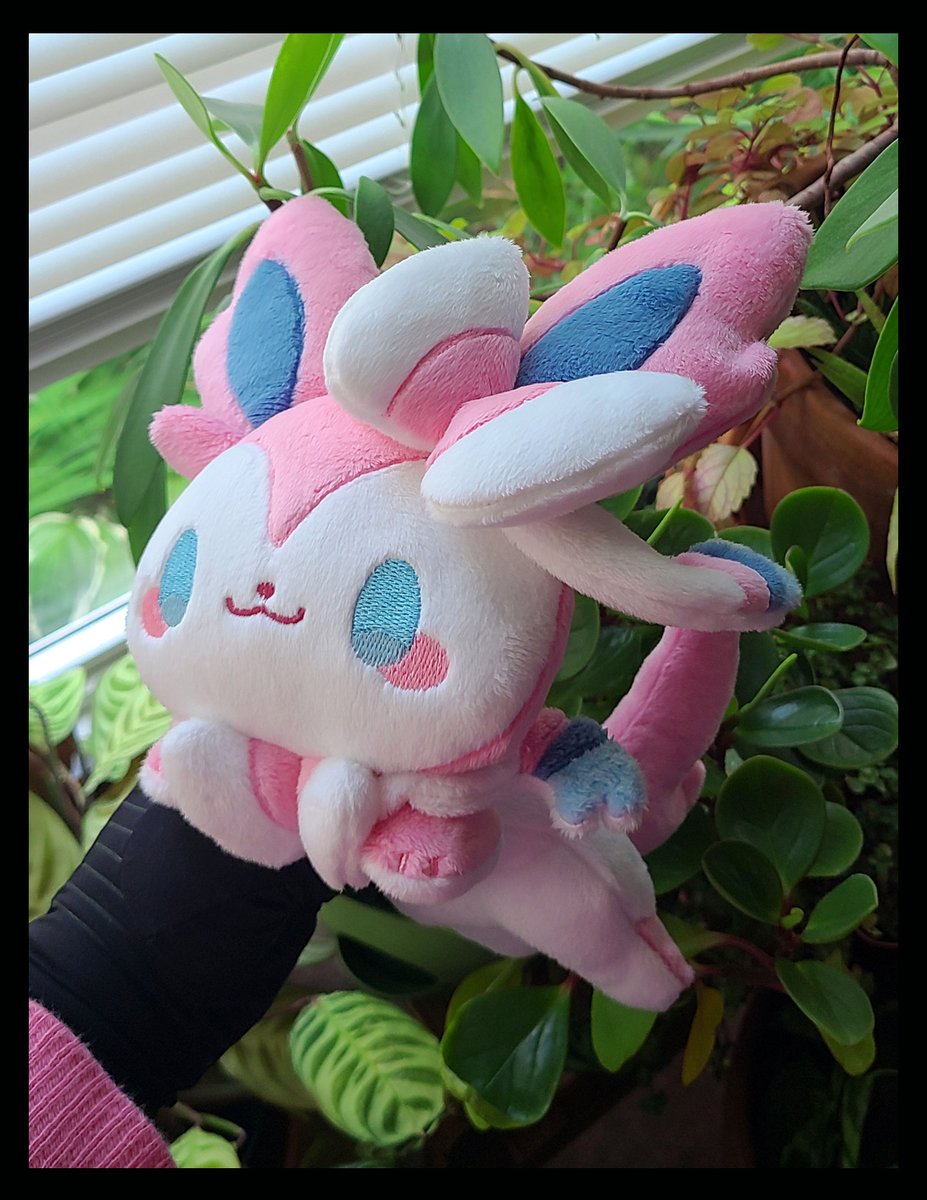 FluffyPawPower's tweet photo. Aside from the new Jolteon and Flareon, I've also listed a few other plushies that I have embroidered! There are only a few of each (1-2). 

I'm planning on pausing my Etsy this week since I'm busy working on Etsy and website orders. Everything will be back up next weekend! https://t.co/U0bKL12m8t