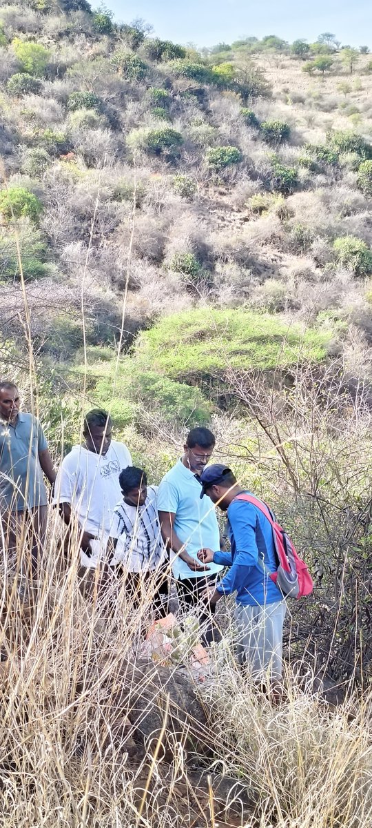 PPPsince2017__'s tweet photo. 🌱 For the 9th consecutive year, we’re sharing tamarind seeds with devotees visiting Saruvamalai.
5 kgs sown today. 
#pattikadupasumaipattarai https://t.co/hFg94NBw4A
