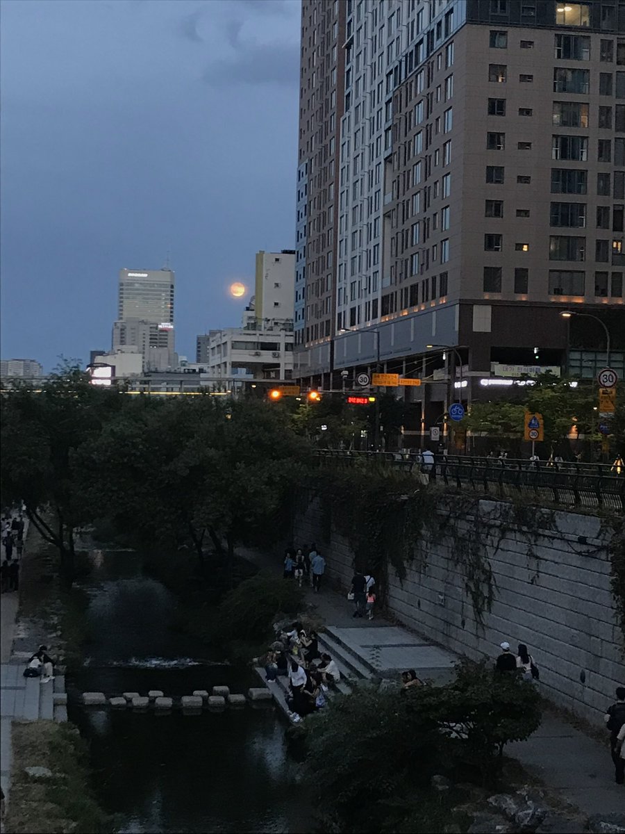 izzrrray's tweet photo. 완전 ”청계천한” 청계천 https://t.co/iLasWyiWRQ