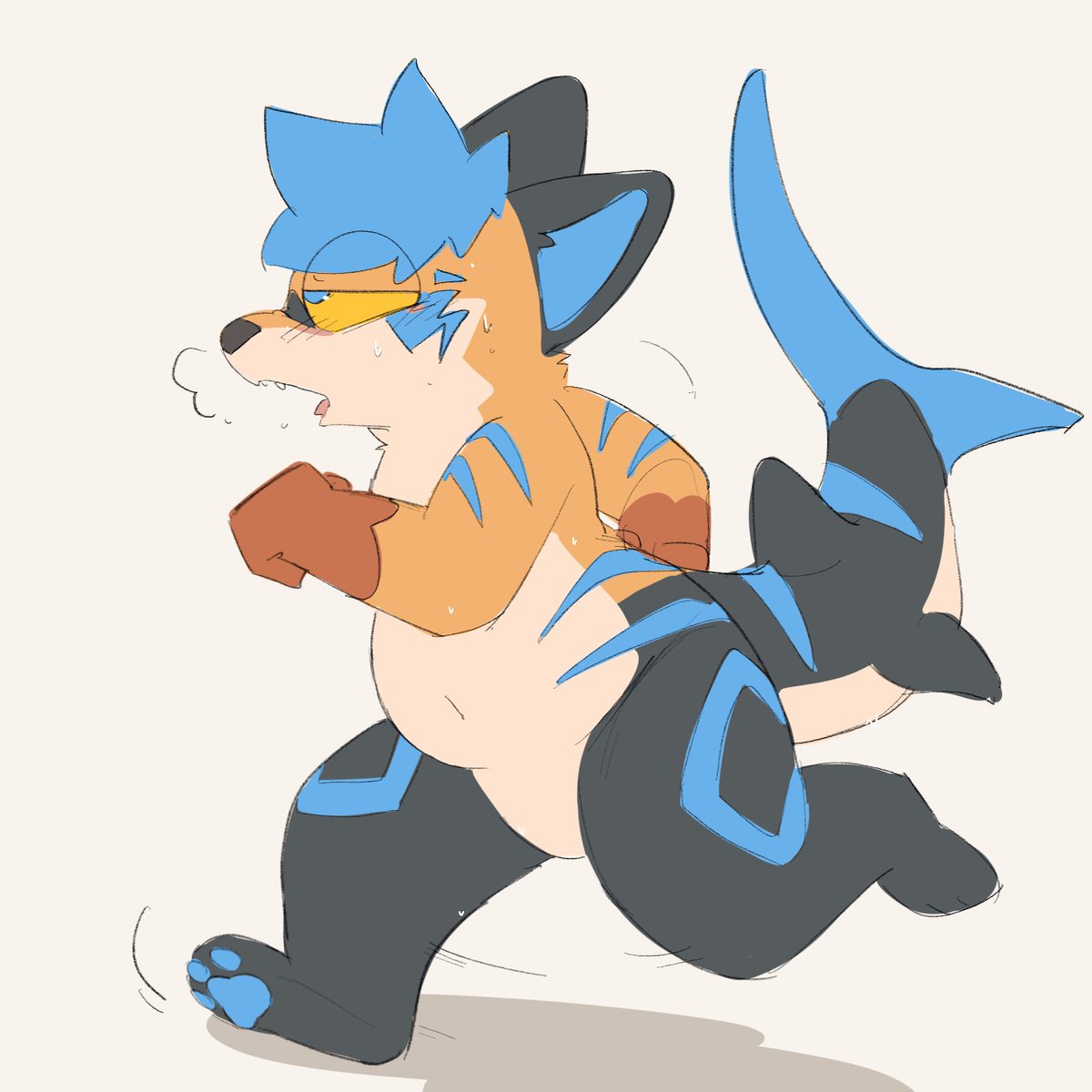 rexery_truffle's tweet photo. Exercise is hard... https://t.co/OxPSV2DP2B