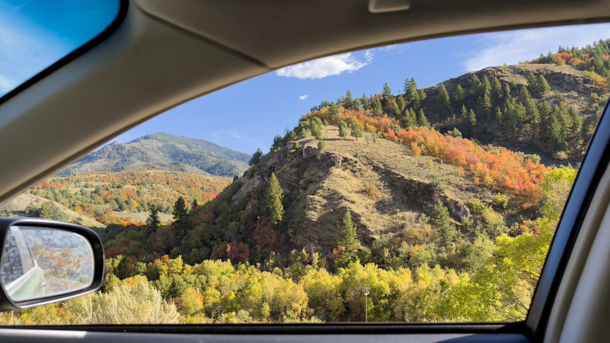ashl3af's tweet photo. good tires on your subaru outback and the right amount of hope in your heart will take you anywhere you need to be https://t.co/hnBHM2WJde
