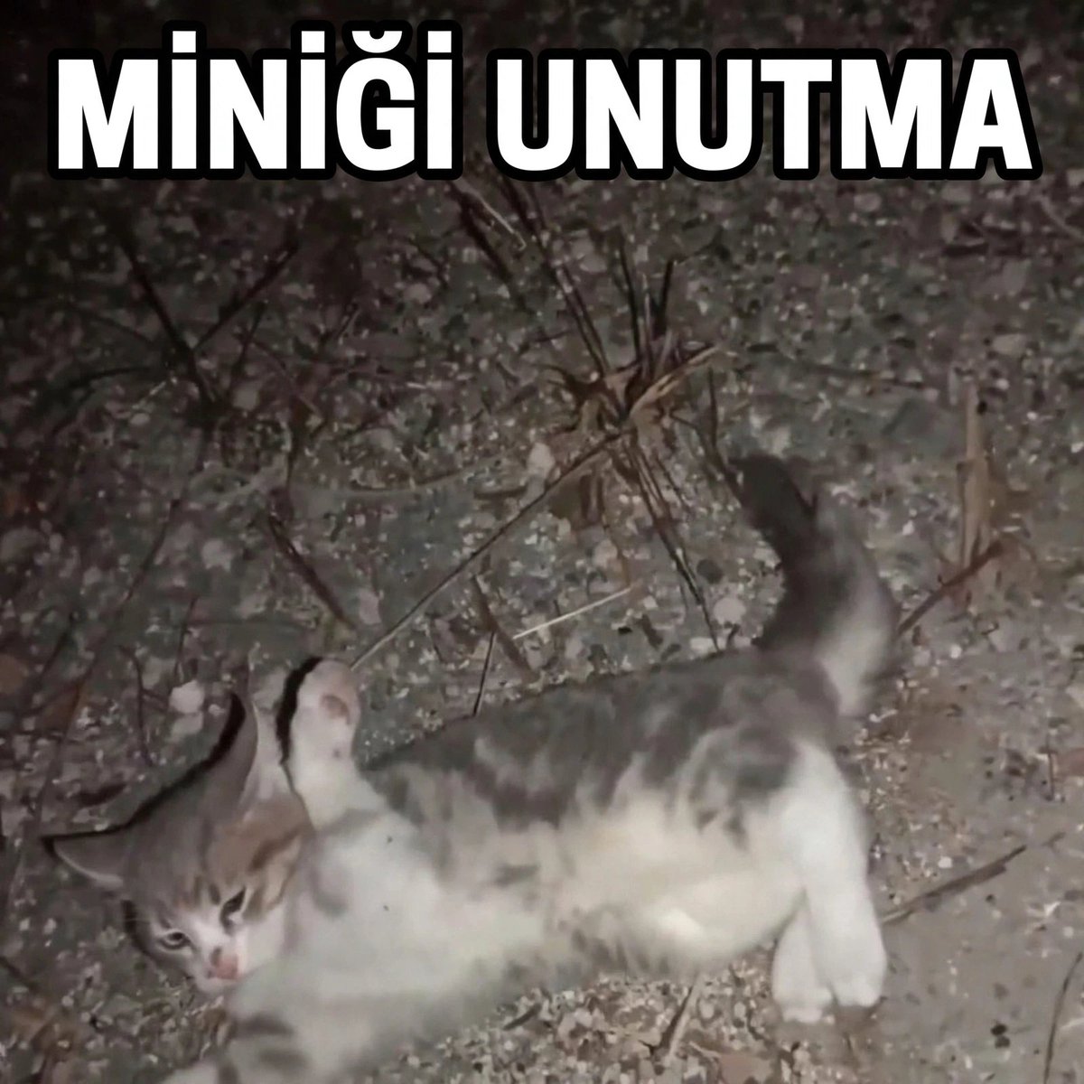 nah_ic_'s tweet photo. Minik katledildi
Faili belli
Unutmadik unutturmayacağız
MİNİĞİ UNUTMA https://t.co/CzwO6AB17I