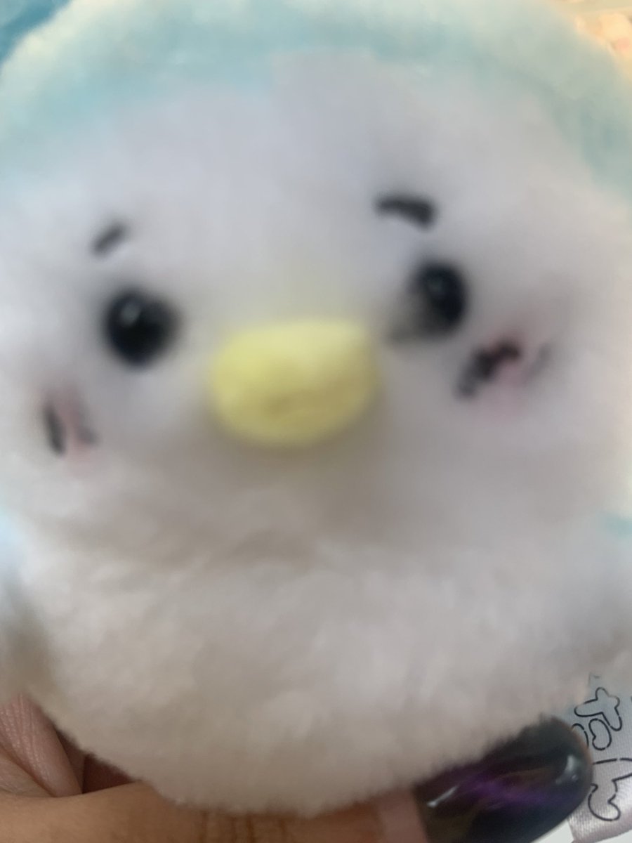m_akinoleM's tweet photo. 何気に推しです https://t.co/hmaC8vKtbi